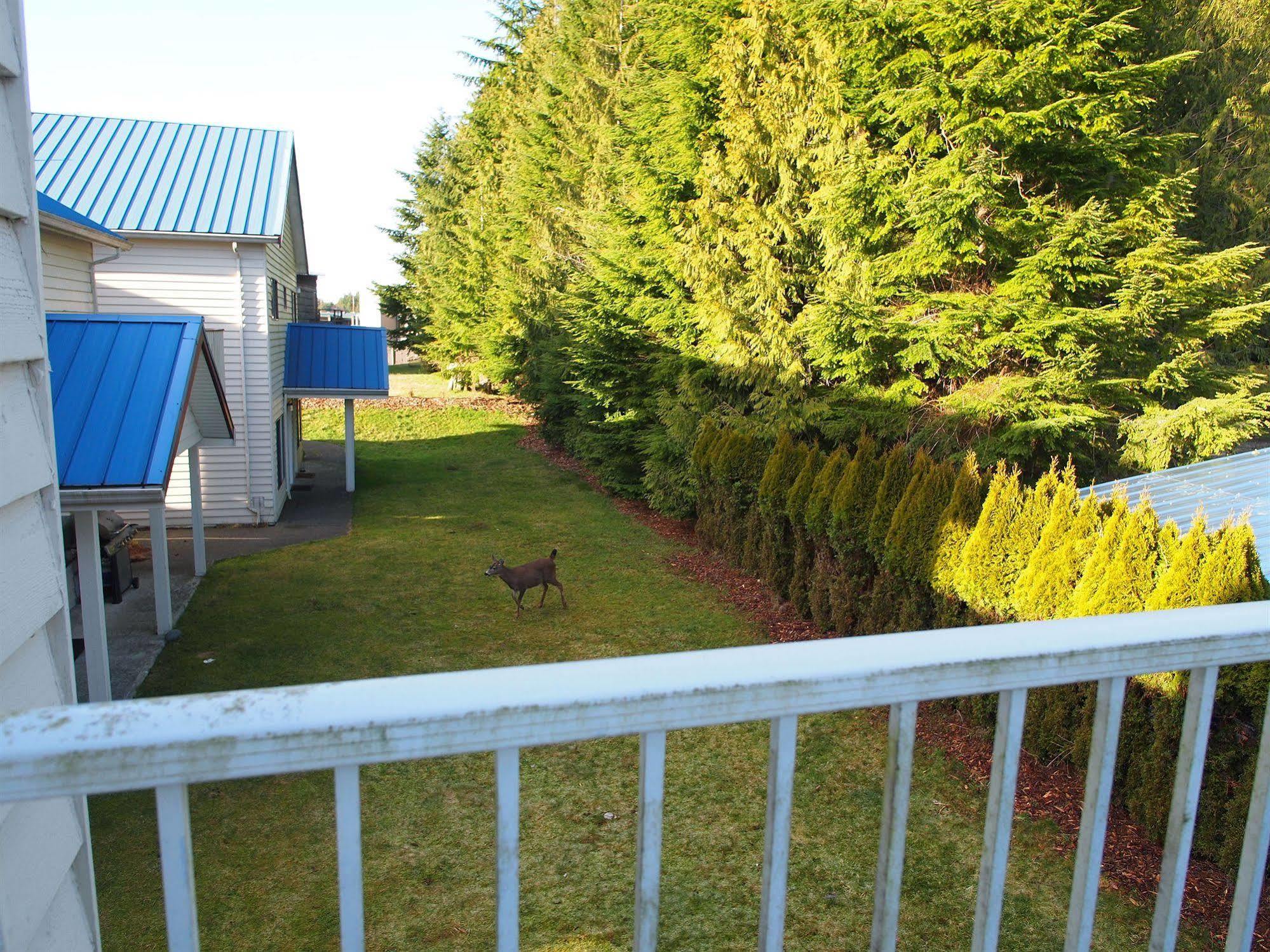 Whale'S Tail Guest Suites Ucluelet Exterior photo